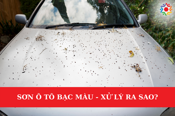 Sơn Ô Tô Bạc Màu - Xử Lý Ra Sao? Nguyên nhân nào khiến sơn ô tô bị bạc màu?