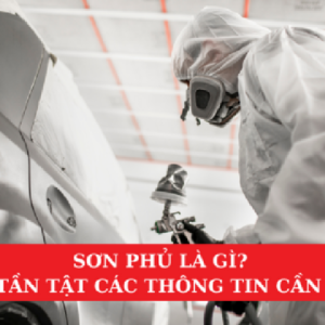 Sơn Phủ Là Gì? Tất Tần Tật Các Thông Tin Cần Biết