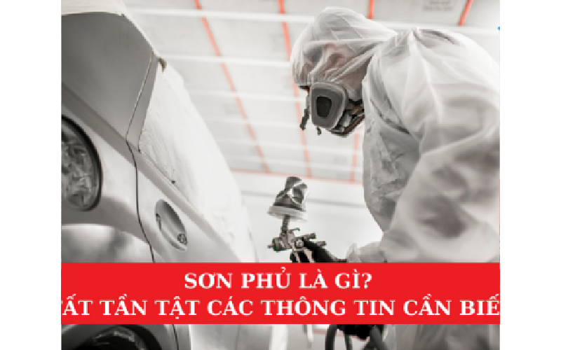 Sơn Phủ Là Gì? Tất Tần Tật Các Thông Tin Cần Biết