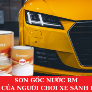 Sơn Gốc Nước RM – Sơn Của Người Chơi Xe Sành Điệu