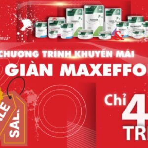 Chương Trình Khuyến Mãi Lắp Giàn Sơn Max Effort Cực Sốc Cùng MT Paint