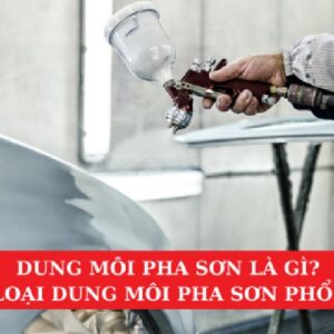 Dung Môi Pha Sơn Là Gì? Các Loại Dung Môi Phổ Biến Hiện Nay